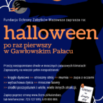 Wieczór strachów w Gawłowskim Pałacu